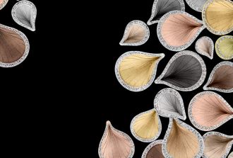 AnnamariaCammilli-BesonderesGold-1270x860