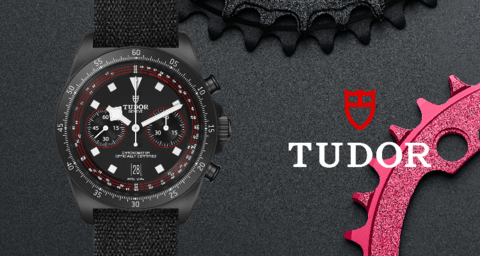 Tudor-banner(13)